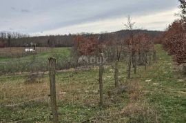 POREČ, ISTRA - Veliko poljoprivredno zemljište, Poreč, Γη