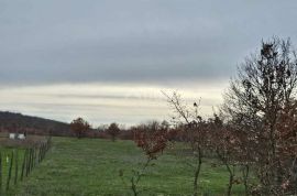 POREČ, ISTRA - Veliko poljoprivredno zemljište, Poreč, Γη