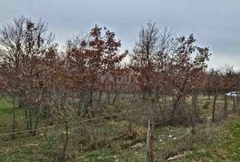 POREČ, ISTRA - Veliko poljoprivredno zemljište, Poreč, Γη