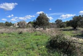 ZADAR, SV. FILIP I JAKOV - Građevinsko zemljište s pogledom na more, Sveti Filip I Jakov, Terreno