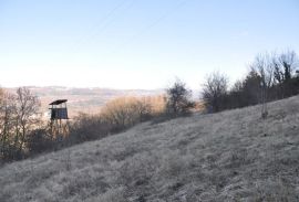 ISTRA BUZET Prostrano poljoprivredno i građevinsko zemljište, Buzet, Terra