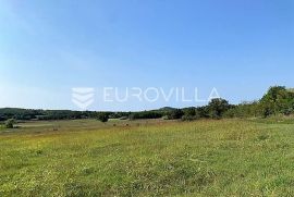 Istra, Poreč okolica poljoprivredno gospodarsko zemljište 1200 m2, Mugeba, Poreč, Γη