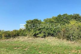 Istra, Poreč okolica poljoprivredno gospodarsko zemljište 1200 m2, Mugeba, Poreč, Γη