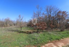 Loborika, prostrano građevinsko zemljište, Marčana, Terreno