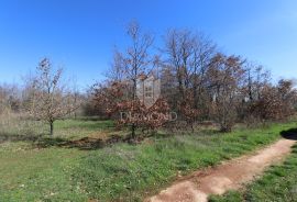 Loborika, prostrano građevinsko zemljište, Marčana, Terreno