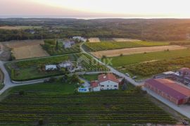 ISTRA, BRTONIGLA - Luksuzna dvojna vila u idiličnom mjestu, Brtonigla, Kuća