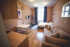 Centar stan 205m2 podijeljen na 5 apartmana i sobu, Zagreb, Flat