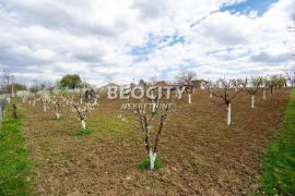 Barajevo, Vranić, Proleterskih brigada, 24a, Barajevo, Земля