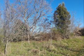 Građevinsko zemljište, Veliki Vareški, Istra, Marčana, Terreno