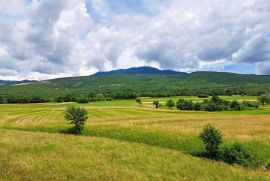 Boljun, Započeta gradnja s otvorenim pogledom na prirodu, Lupoglav, Kuća