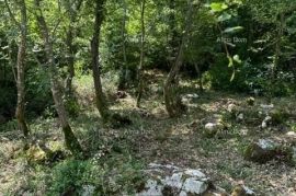 Poljoprivredno zemljište Prodajem poljoprivredno zemljište ( šuma ) 7 km od Poreča, Poreč, Земля