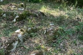 Poljoprivredno zemljište Prodajem poljoprivredno zemljište ( šuma ) 7 km od Poreča, Poreč, Земля