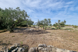 Poljoprivredno zemljište, Bogdanovići-Jadrija, Šibenik - Okolica, Γη