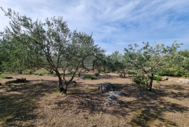 Poljoprivredno zemljište, Bogdanovići-Jadrija, Šibenik - Okolica, Γη