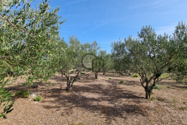 Poljoprivredno zemljište, Bogdanovići-Jadrija, Šibenik - Okolica, Γη