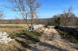 ISTRA, BUJE - Zemljište na osami, zadnje u građevinskoj zoni, pogled na Buje i na more, Buje, Land