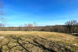 ISTRA, BUJE - Zemljište na osami, zadnje u građevinskoj zoni, pogled na Buje i na more, Buje, Land