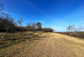 ISTRA, BUJE - Zemljište na osami, zadnje u građevinskoj zoni, pogled na Buje i na more, Buje, Land