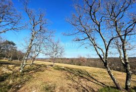 ISTRA, BUJE - Zemljište na osami, zadnje u građevinskoj zoni, pogled na Buje i na more, Buje, Land