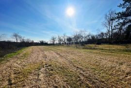 ISTRA, BUJE - Zemljište na osami, zadnje u građevinskoj zoni, pogled na Buje i na more, Buje, Land