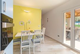 Kamena kuća na 50 m od mora, Rovinj, Istra, Rovinj, House