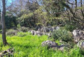 ISTRA, BUZET - Građevinsko zemljište na mirnoj lokaciji, Buzet, Terreno