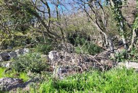 ISTRA, BUZET - Građevinsko zemljište na mirnoj lokaciji, Buzet, Terreno