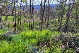 ISTRA, BUZET - Građevinsko zemljište na mirnoj lokaciji, Buzet, Land