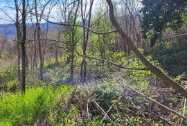 ISTRA, BUZET - Građevinsko zemljište na mirnoj lokaciji, Buzet, Land