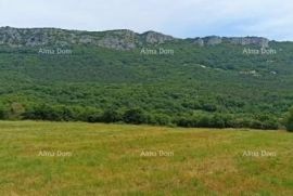 Građevinsko zemljište Građevinsko zemljište, Buzet., Buzet, Terra