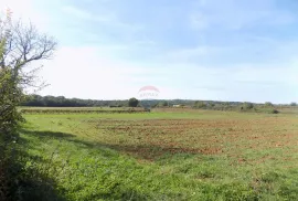 ISTRA, BARBAN - Povoljno poljoprivredno zemljište, Barban, Terra