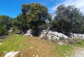 Veli Lošinj - Poljoprivredni teren s pogledom na more, Mali Lošinj, Tierra