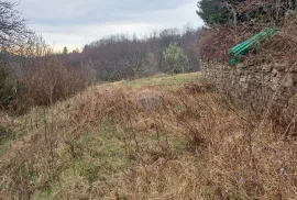 Istra, Momjan-okolica, autohtona kuća i građevinske parcele, Buje, Σπίτι