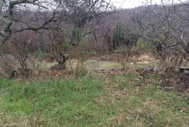 Istra, Momjan-okolica, autohtona kuća i građevinske parcele, Buje, Casa