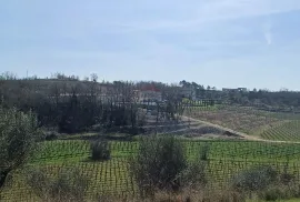 Istra, Momjan-okolica, istarsko imanje za adaptaciju od 95.000 m2, Buje, Дом