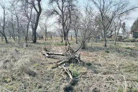 Kuća s gospodarskim zgradama u Dubravskom Markovcu - potrebna adaptacija, Dubrava, Maison