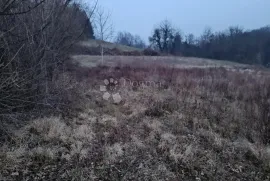 Poljoprivredno zemljište uz šumu, Zagreb, Land