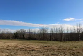 Veliko građevinsko zemljište u blizini Pazina, Pazin - Okolica, Terrain