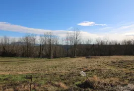 Veliko građevinsko zemljište u blizini Pazina, Pazin - Okolica, Land