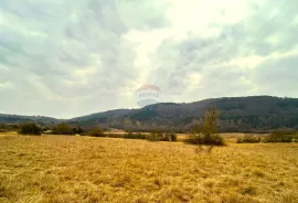 Poljoprivredno zemljište, Istra, Grožnjan, Grožnjan, Terreno