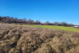 Istra, Barban, građevinsko zemljište industrijske namjene, Barban, Arazi