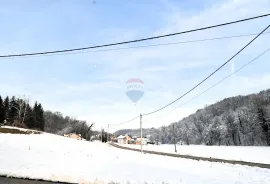 Zaprešić, Gornja Pušća - kuća s više stanova, mogućnost opg-a, Pušća, Kuća