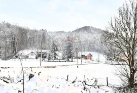 Zaprešić, Gornja Pušća - kuća s više stanova, mogućnost opg-a, Pušća, Kuća