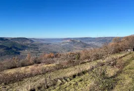 Motovun - okolica, građevinsko-poljoprivredno zemljište predivnog otvorenog pogleda, Pazin - Okolica, أرض