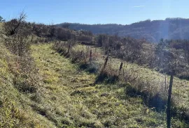 Motovun - okolica, građevinsko-poljoprivredno zemljište predivnog otvorenog pogleda, Pazin - Okolica, أرض