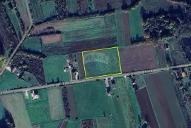 Ribnica, Velika Gorica okolica građevinsko zemljište 9112 m2, Velika Gorica - Okolica, Land