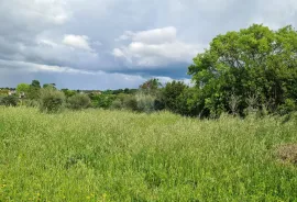 Kaštelir: Lijepo građevinsko zemljište na brijegu s pogledom na more, Kaštelir-Labinci, Tierra