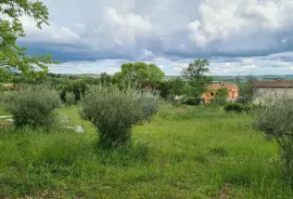 Kaštelir: Lijepo građevinsko zemljište na brijegu s pogledom na more, Kaštelir-Labinci, Tierra