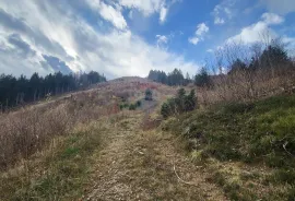 Mrkopalj, Sunger - Zemljište 18,172 m2 Građevinsko i Rekreacijska Zona, Mrkopalj, Terra