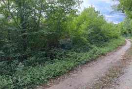 Istra,Korenići 1km od sela,1000m2, Kanfanar, Terrain